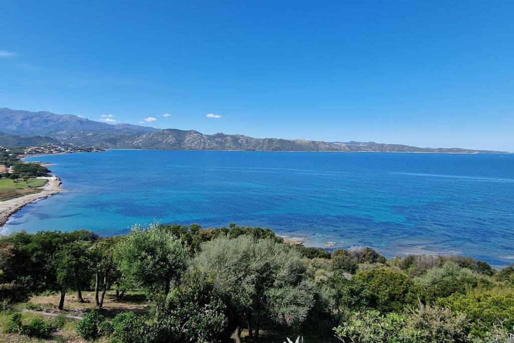 Appartement Sur La Baie De Saint Florent Patrimonio Exterior photo