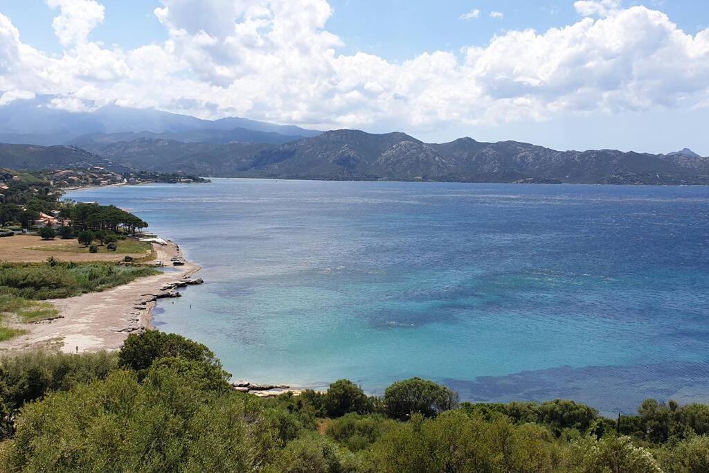Appartement Sur La Baie De Saint Florent Patrimonio Exterior photo