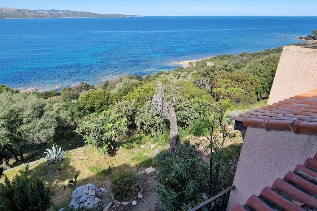 Appartement Sur La Baie De Saint Florent Patrimonio Exterior photo