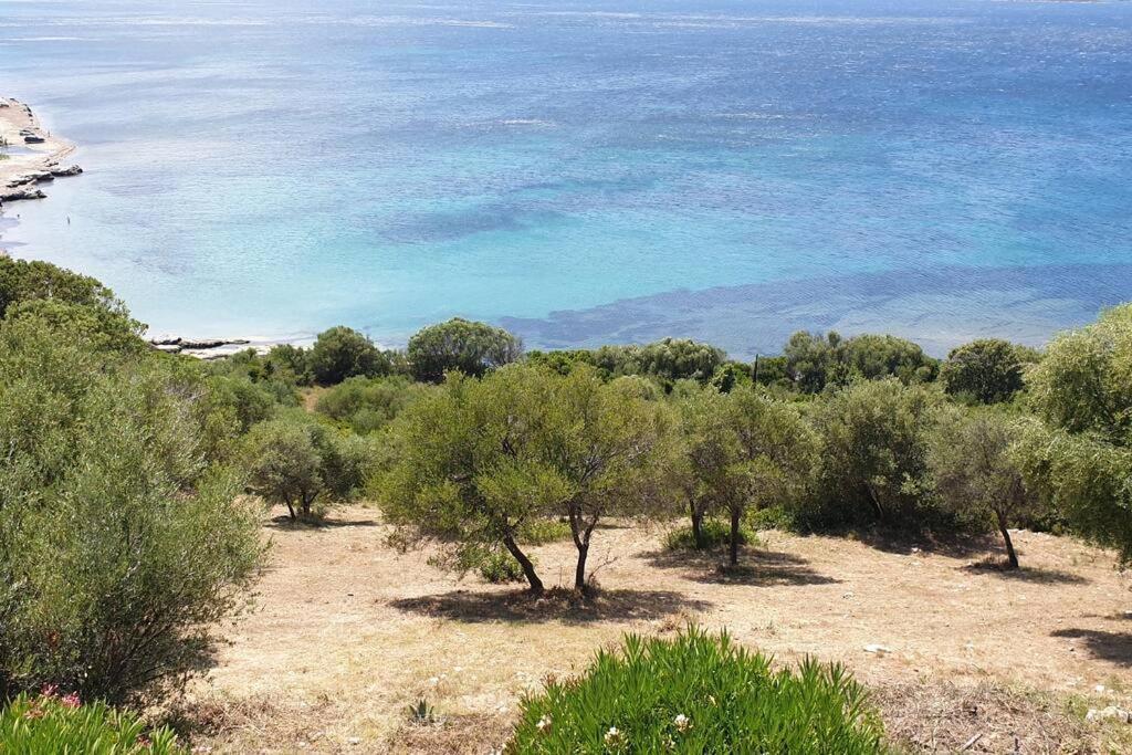 Appartement Sur La Baie De Saint Florent Patrimonio Exterior photo